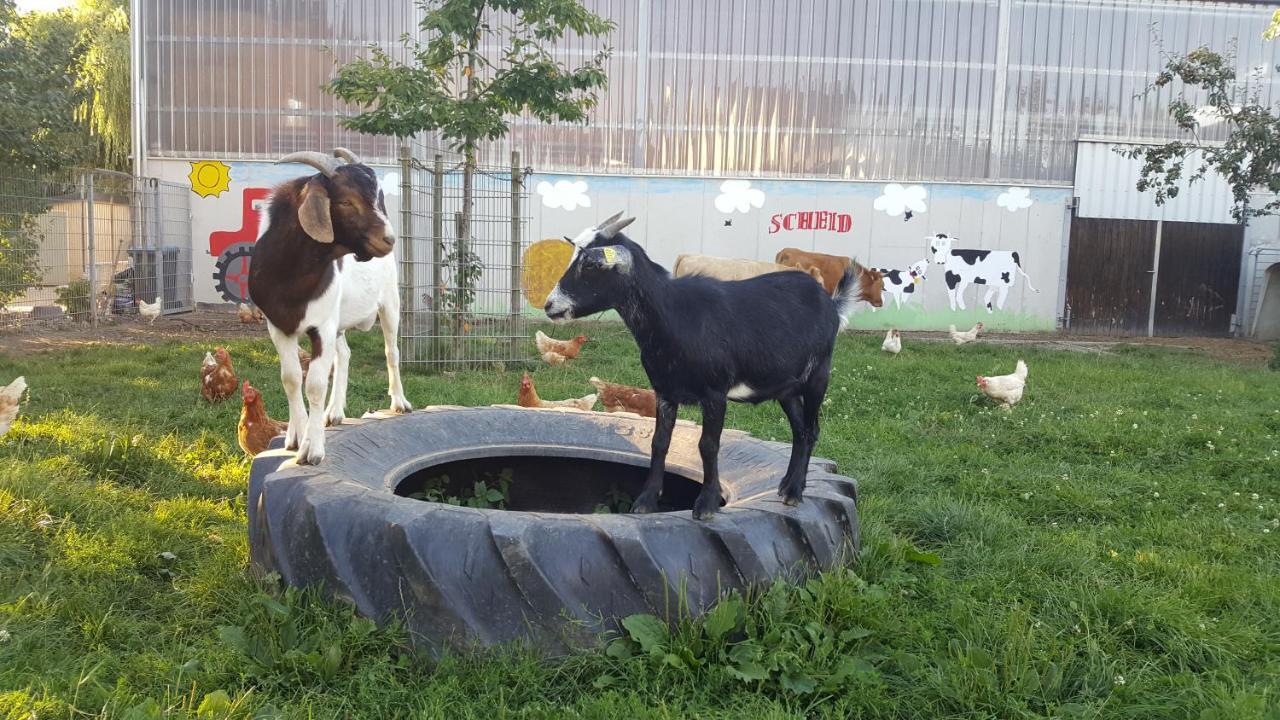 Ferienwohnung Scheid Lahr  Esterno foto