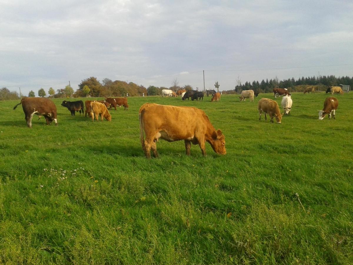 Ferienwohnung Scheid Lahr  Esterno foto